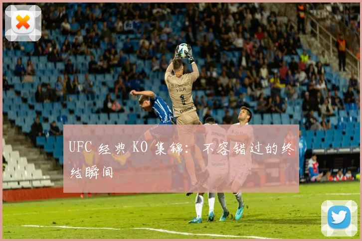 UFC 经典 KO 集锦：不容错过的终结瞬间